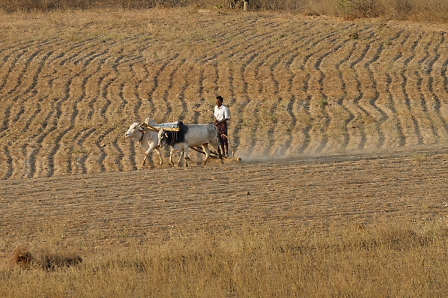 Pagan-lever de soleil-066